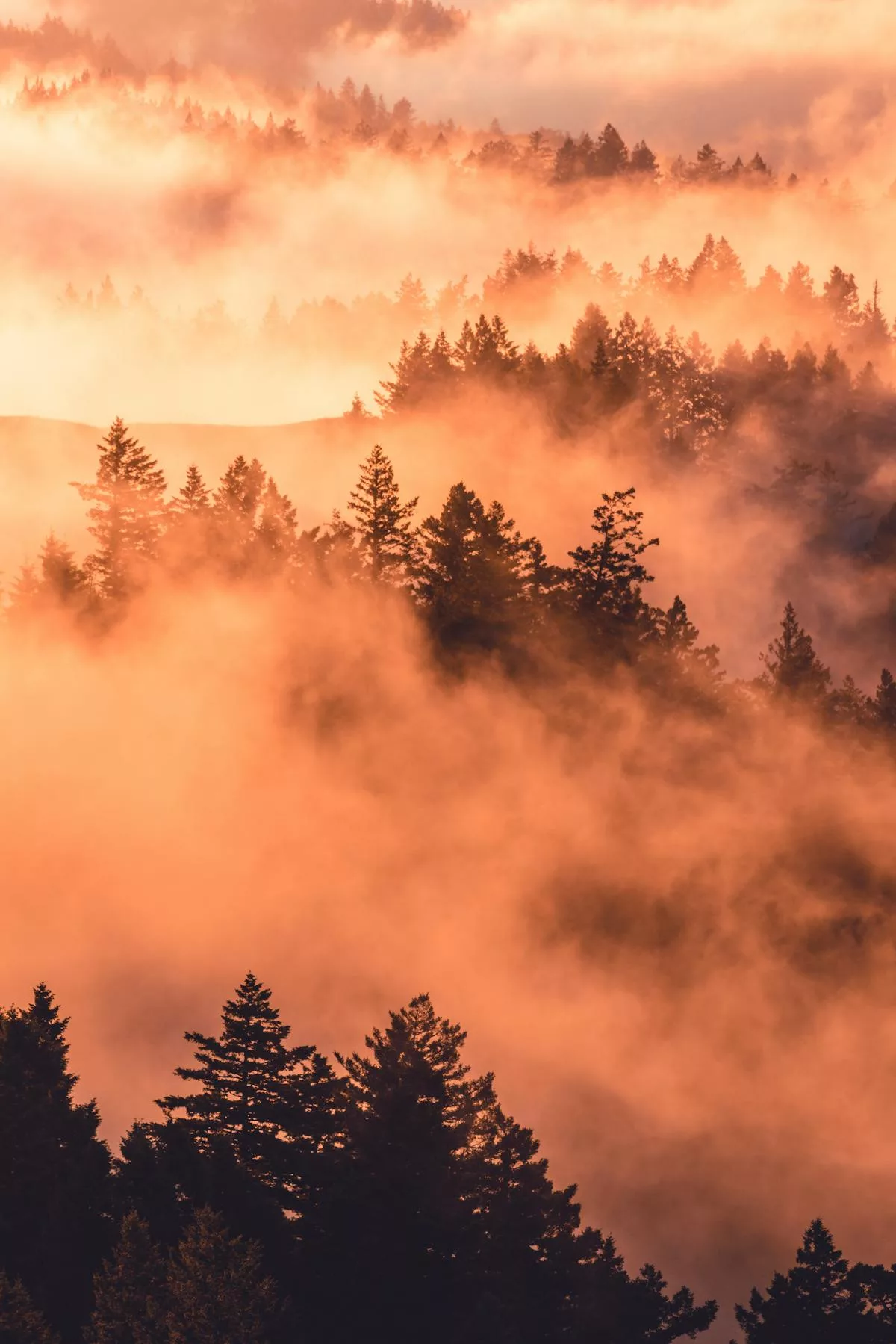 Erdige Atmosphäre — Am Wendepunkt