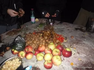 Survival Erfahrung