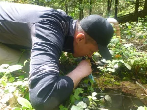 Survivaltraining